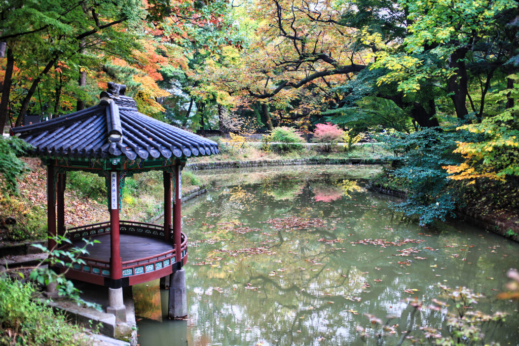 Contact-Seoul-Music-Management-wooden-pavilion-in-the-garden-of-changdeokgung.jpg